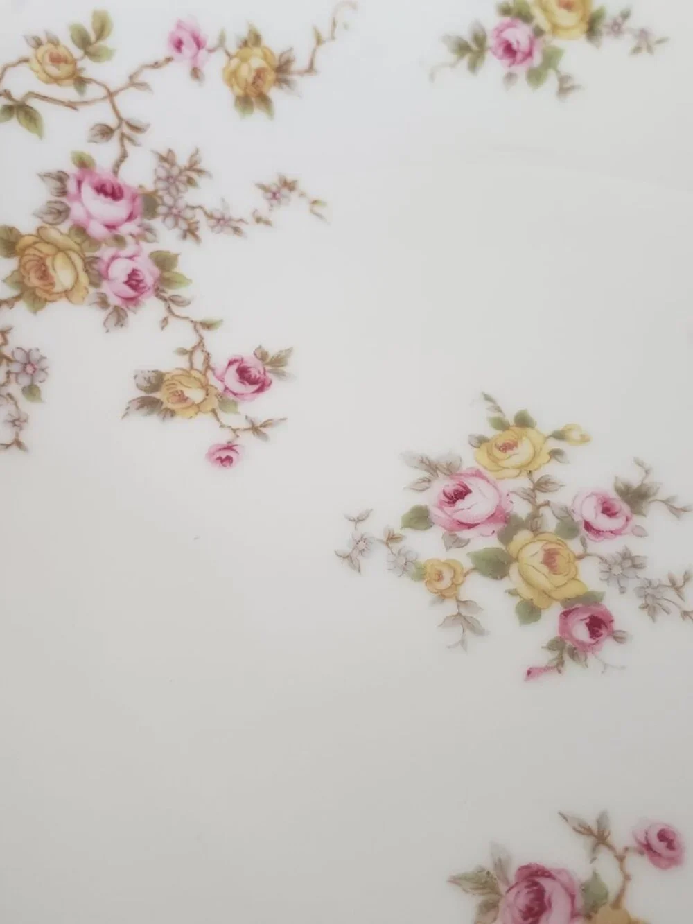 4 pc Coupe Soup Bowl JOHANN HAVILAND Michele